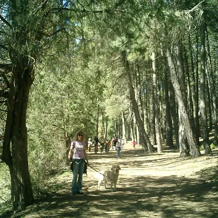 Canon De Rio Lobos Ii * Casarejos