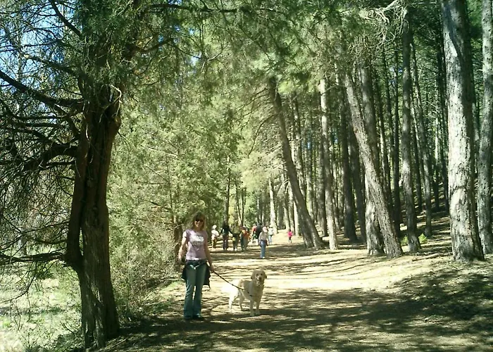 Canon De Rio Lobos Ii * Casarejos